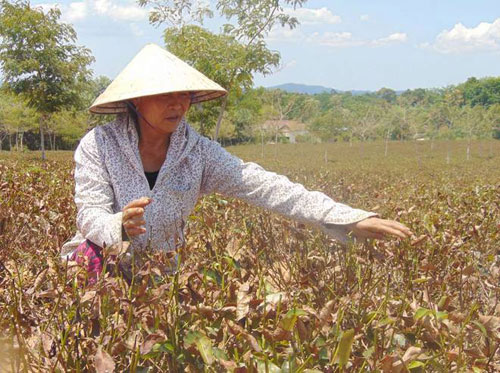 Trung Quốc xả nước nhiều hơn mức b&igrave;nh thường xuống s&ocirc;ng Mekong