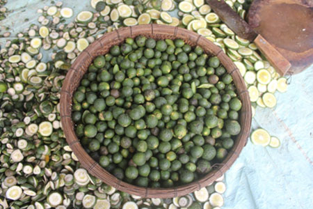 Chưa ph&aacute;t hiện thương l&aacute;i Trung Quốc thu mua n&ocirc;ng sản 'kỳ quặc'