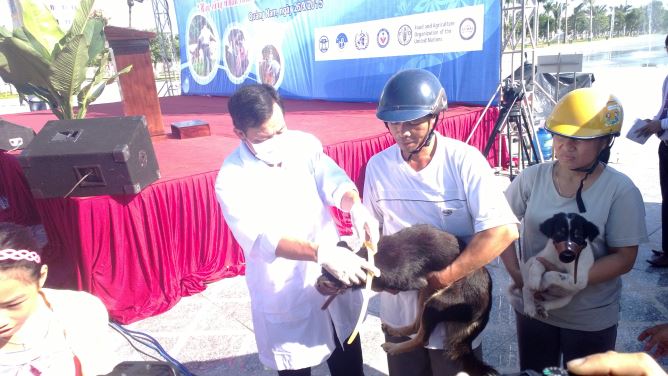 &lsquo;Ti&ecirc;u&rsquo; tr&ecirc;n 300 tỷ đồng mỗi năm cho bệnh dại