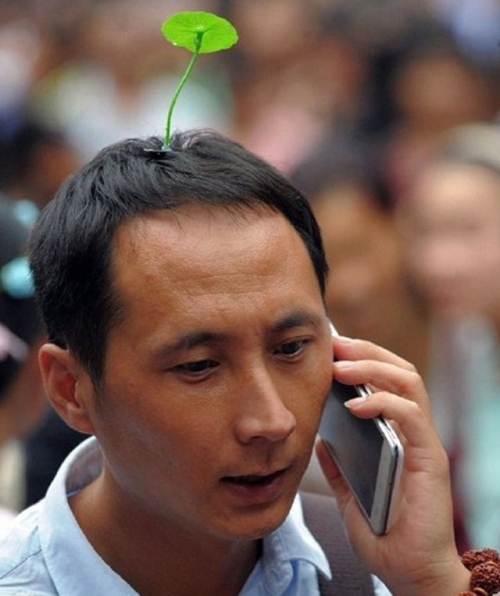 Mốt kẹp t&oacute;c mọc c&acirc;y tr&ecirc;n đầu tr&agrave;n về Việt Nam