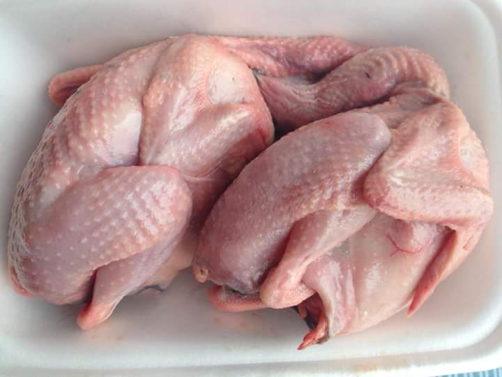 Hô biến gà chiếp mắc bệnh thành chim cút béo ngậy Hô biến gà chiếp mắc bệnh thành chim cút béo ngậy
