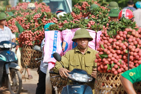 C&oacute; Trung Quốc, vải mới hy vọng &lsquo;tr&ocirc;i&rsquo;