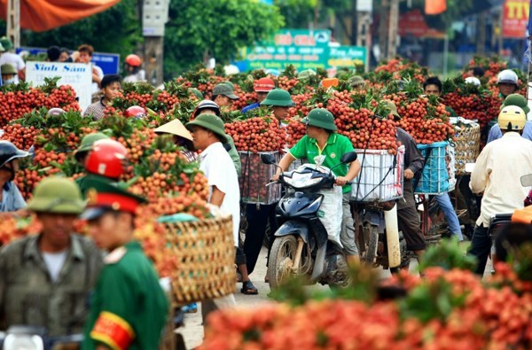 300 thương nh&acirc;n Trung Quốc từng 'đổ bộ' v&agrave;o đất vải Lục Ngạn
