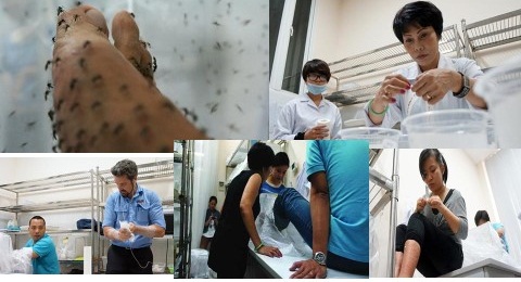 &lsquo;Ti&ecirc;m muỗi cho muỗi&rsquo;: Ứng dụng lạ trong ph&ograve;ng chống sốt xuất huyết