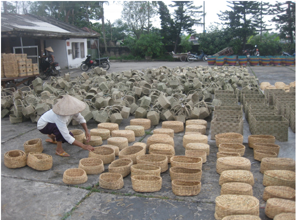 X&acirc;y dựng nh&atilde;n hiệu tập thể C&oacute;i Kim Sơn