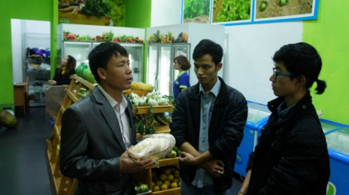 Vịt biển Đo&agrave;n Văn Vươn c&oacute; gi&aacute; 200 ngh&igrave;n đồng/con