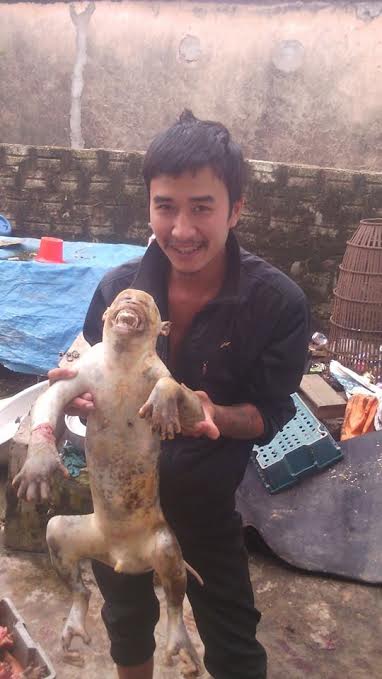 Kinh hoàng trước ch&ugrave;m ảnh giết hại khỉ d&atilde; man, v&ocirc; nh&acirc;n t&iacute;nh