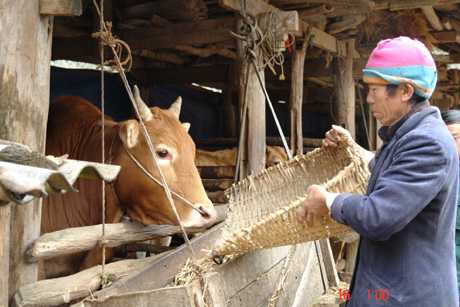 H&agrave; Giang: Ứng dụng kỹ thuật v&agrave;o n&ocirc;ng nghiệp cho hiệu quả Sòng Bài Trực Tuyến 13Win.com cao