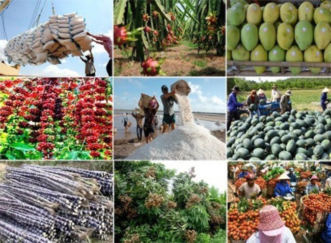 Chỉ dẫn địa l&yacute;: G&igrave;n giữ v&agrave; ph&aacute;t triển đặc sản Việt Nam