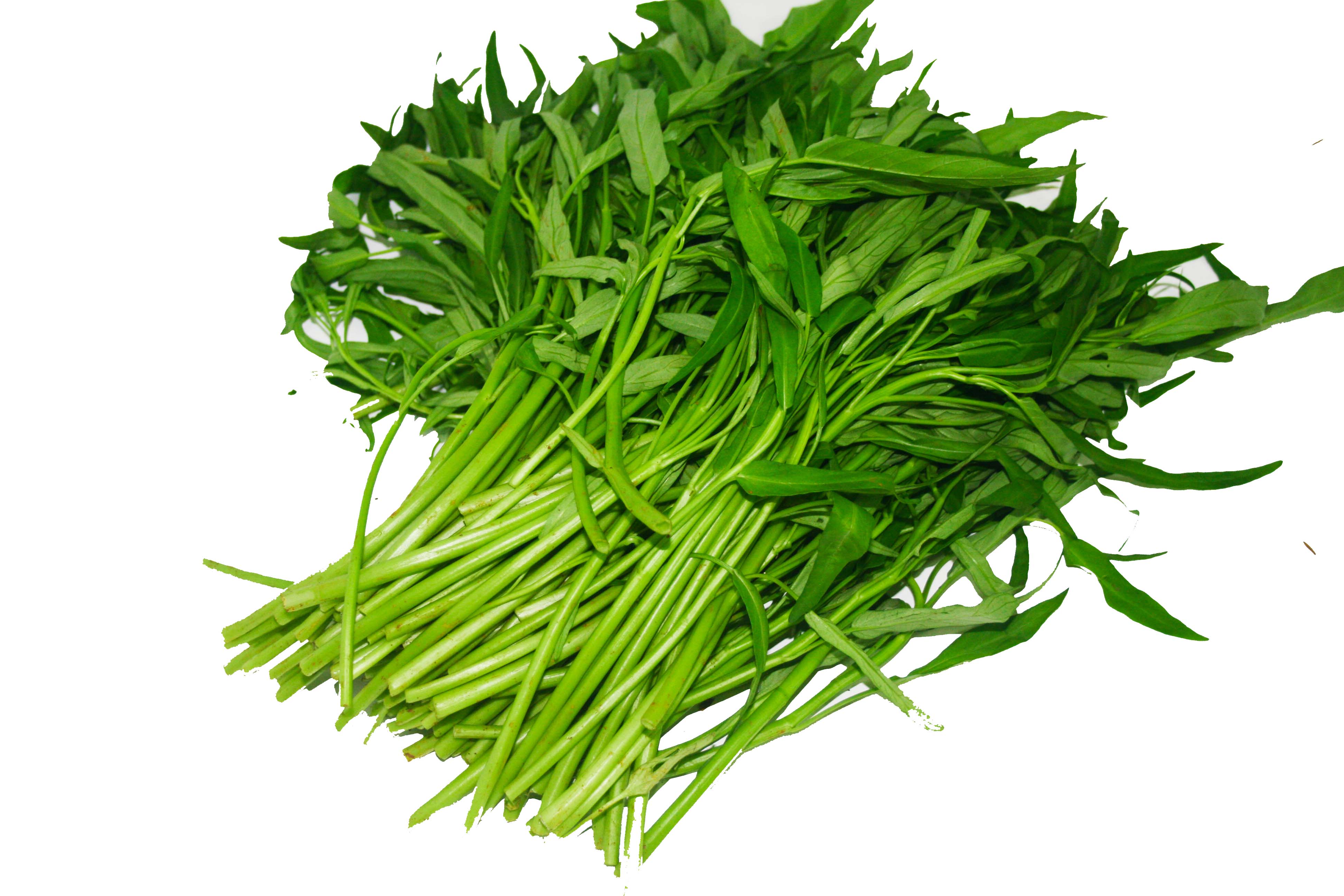 V&igrave; sao ăn rau muống m&ugrave;a h&egrave; kh&ocirc;ng sợ ngộ độc như m&ugrave;a đ&ocirc;ng?