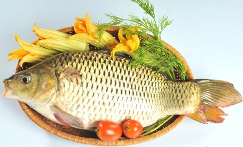 Người gi&agrave; ăn nhiều c&aacute; l&agrave; c&aacute;ch chống l&atilde;o h&oacute;a rất hiệu quả