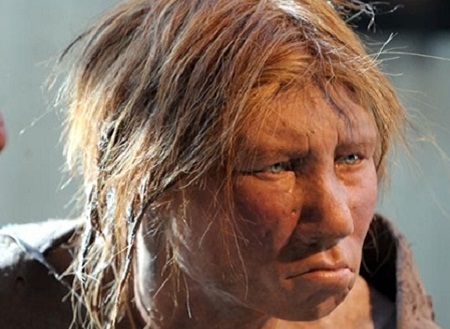 Người nguyên thủy Neanderthal với hình dáng đặc trưng: chiếc mũi nhô ra trên một khuôn mặt to lớn, vầng trán đồ sộ và không có cằm Người nguyên thủy Neanderthal với hình dáng đặc trưng: chiếc mũi nhô ra trên một khuôn mặt to lớn, vầng trán đồ sộ và không có cằm