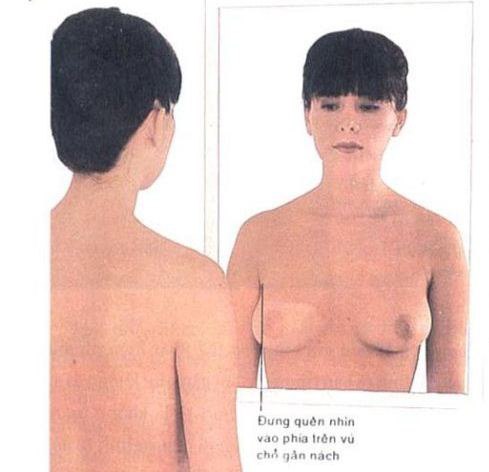 nguy co ung thu vu