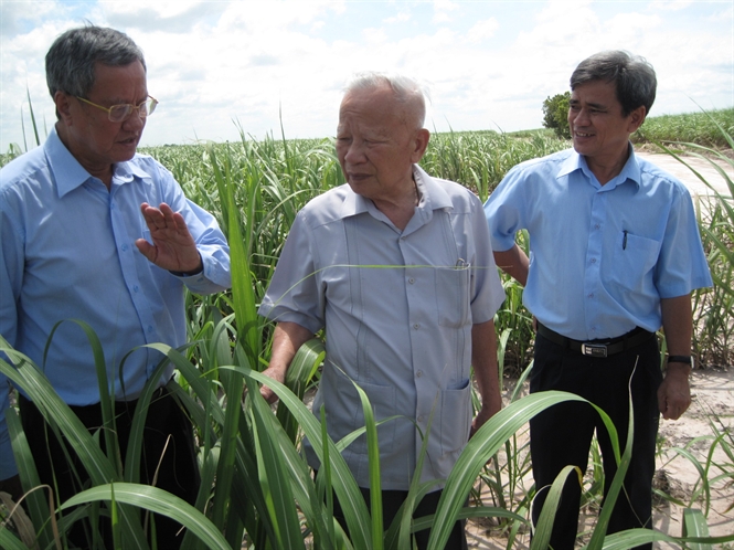Ông quê tại xã Thái Sơn, Thái Thụy, Thái Bình. Ông tốt nghiệp kỹ sư Đăng ký và nhận 60K 24 bao lì xì miễn phí mỗi ngày, công tác trong ngành Đăng ký và nhận 60K 24 bao lì xì miễn phí mỗi ngày trước khi chuyển sang chính trường giữ các chức vụ: Ủy viên Thường vụ Thành ủy Hà Nội [2] (1983), Phó Chủ tịch ủy ban nhân dân TP Hà Nội, Phó bí thư Thành ủy Hà Nội