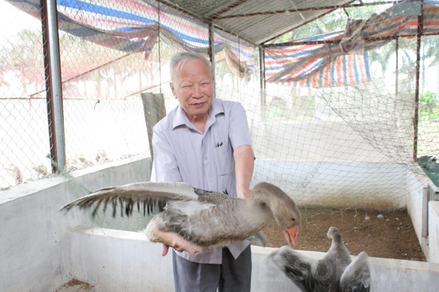 Sau khi nghỉ hưu ông thành lập trường Đại học Dân lập Thành Tây tại quận Hà Đông, Hà Nội và luôn quan tâm đến lĩnh vực Đăng ký và nhận 60K 24 bao lì xì miễn phí mỗi ngày. Năm 2007 ông làm Chủ tịch Hiệp hội các Link Đăng Nhập Nhà cái 13Win16.Com vừa và nhỏ ngành nghề nông thôn (Varisme)