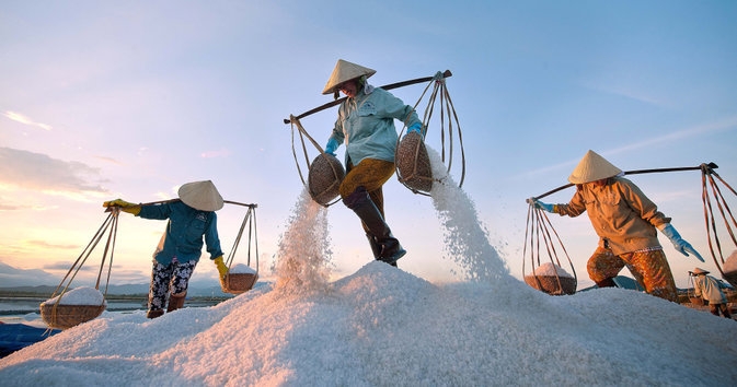 Thông thường muối được gồng gánh tập trung một điểm và đóng bao tải lớn Thông thường muối được gồng gánh tập trung một điểm và đóng bao tải lớn