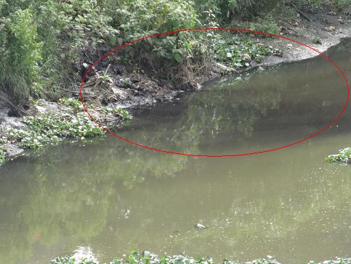  H&agrave; Nội phạt tr&ecirc;n 1 tỷ đồng với 5 cơ sở kinh doanh g&acirc;y &ocirc; nhiễm m&ocirc;i trường ở Dương Nội - H&agrave; Đ&ocirc;ng