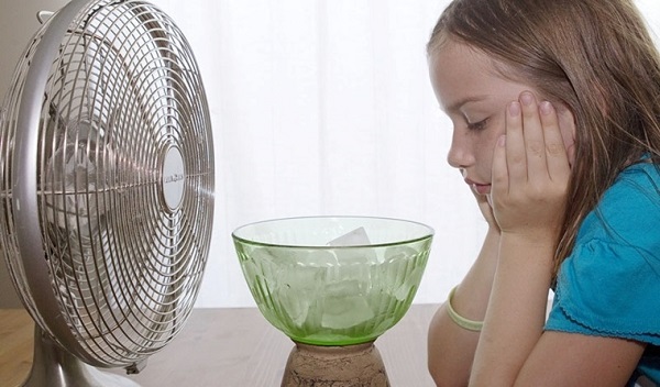  Đặt một t&ocirc; đ&aacute; trước quạt điện l&agrave; c&aacute;ch l&agrave;m kinh điển ai cũng sử dụng trong những ng&agrave;y nắng n&oacute;ng.