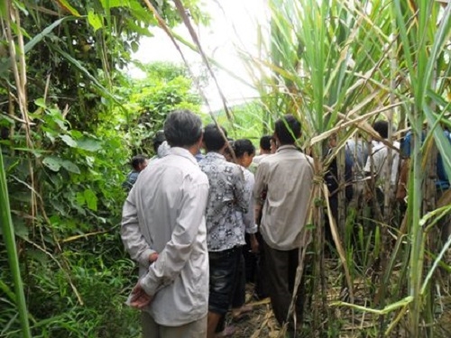 phi tang c&ocirc; gi&aacute;o trong vườn m&iacute;a