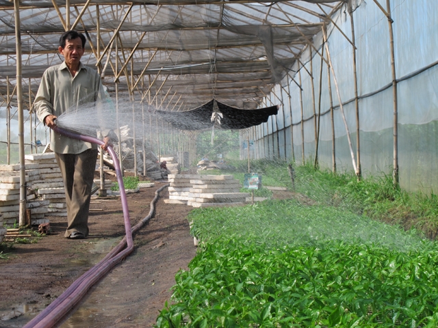 M&ocirc; h&igrave;nh nh&agrave; k&iacute;nh, nh&agrave; lưới được nhiều địa phương ứng dụng v&agrave;o trong sản xuất