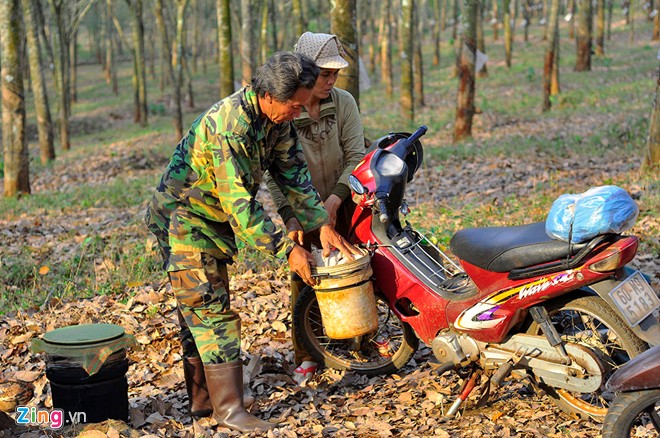 Tuổi cao nhưng mỗi ngày, vợ chồng ông Lê Văn Hiếu vẫn chạy xe máy hàng trăm km đi săn kiến. Ông cho biết, đường xa, đi lại vất vả nhưng đổi lại có niềm vui và thu nhập. ‘Việc làm nhẹ nhàng, tạo sự hứng khởi. Nghỉ việc ngày nào tôi thấy buồn chán ngày đó nên không nghĩ đến chuyện bỏ nghề’, nông dân có mái tóc lấm tấm sợi bạc nói. Ảnh Zing News Tuổi cao nhưng mỗi ngày, vợ chồng ông Lê Văn Hiếu vẫn chạy xe máy hàng trăm km đi săn kiến. Ông cho biết, đường xa, đi lại vất vả nhưng đổi lại có niềm vui và thu nhập. ‘Việc làm nhẹ nhàng, tạo sự hứng khởi. Nghỉ việc ngày nào tôi thấy buồn chán ngày đó nên không nghĩ đến chuyện bỏ nghề’, nông dân có mái tóc lấm tấm sợi bạc nói. Ảnh Zing News