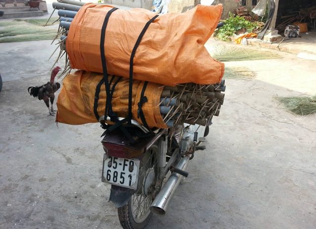 Chiều đến những chiếc xe máy chở đầy ống lại tấp nập đi ra các cánh đồng bẫy lươn. Ảnh Dân Trí Chiều đến những chiếc xe máy chở đầy ống lại tấp nập đi ra các cánh đồng bẫy lươn. Ảnh Dân Trí