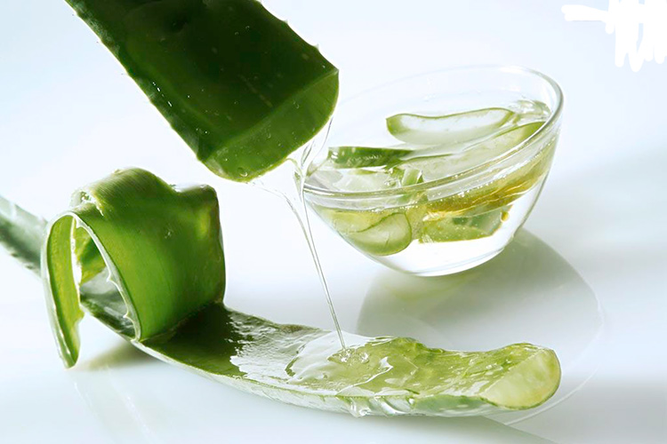 L&agrave;m đẹp bằng nha đam gi&uacute;p l&agrave;n da của chị em mịn m&agrave;ng tuyệt vời
