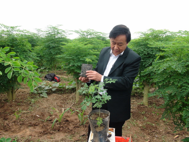 Gi&aacute;o sư Nguyễn L&acirc;n Dũng 