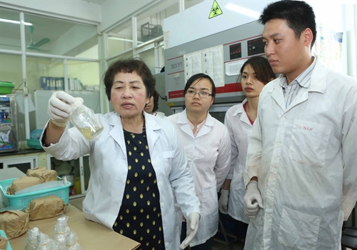 Ph&oacute; Gi&aacute;o sư, Tiến sỹ Đặng Thị Cẩm H&agrave;, hướng dẫn c&aacute;c nghi&ecirc;n cứu sinh trong ph&ograve;ng th&iacute; nghiệm