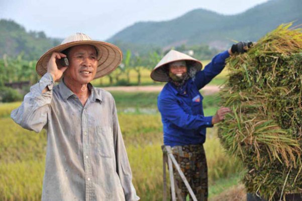dịch vụ nh&agrave; n&ocirc;ng xanh