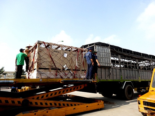 Sau khi được đưa từ m&aacute;y bay xuống, b&ograve; được chuyển sang c&aacute;c xe tải để vận chuyển về trang trại của Vinamilk ở H&agrave; Tĩnh