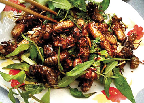 nhộng chiên