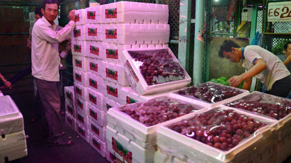 Nho Trung Quốc được 
