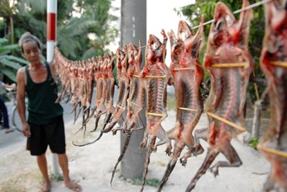  Thằn lằn sống ở trong nh&agrave; cũng được người d&acirc;n bắt đem xẻ thịt phơi kh&ocirc; 2 - 3 nắng