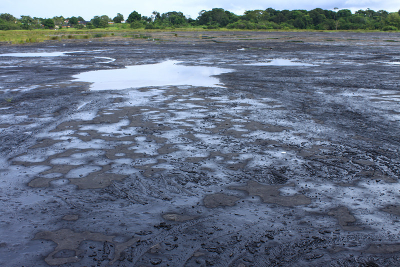 Hồ La Brea Pitch chứa khoảng 10 triệu tấn hắc ín lỏng nằm trên đảo Trinidad, thuộc Cộng hòa Trinidad và Tobago. Đây là hồ nhựa đường tự nhiên lớn nhất thế giới. Thành phần cấu tạo nên hồ La Brea Pitch là nước, khí đốt, nhựa đường và khoáng chất. 