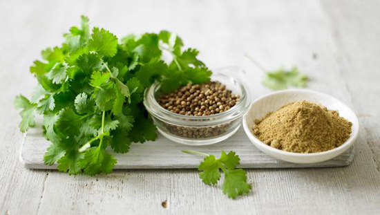 Các quý ông nên hạn chế ăn rau răm, rau mùi, rau bạc hà để không rơi vào cảnh yếu sinh lý