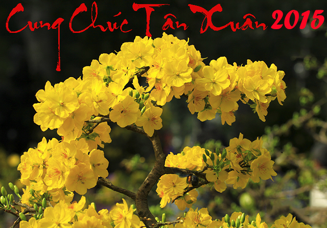 D&agrave;nh cho nhau những lời ch&uacute;c Tết 2015 hay