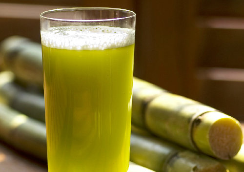 Sơ cứu ngộ độc săn