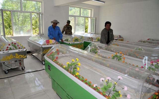 C&aacute;c quan t&agrave;i băng để bảo quản x&aacute;c chết