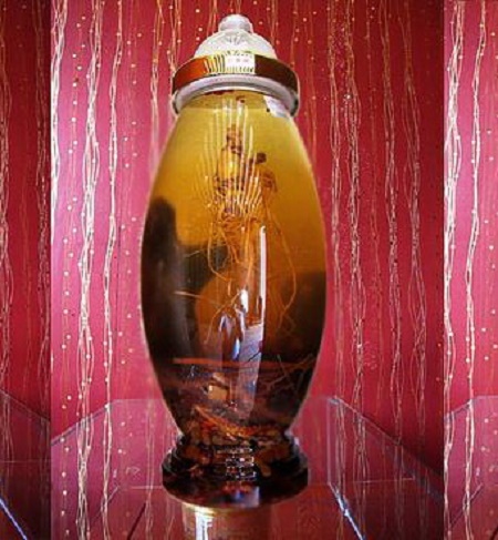 Rượu nhung hươu tốt nhưng khi uống cần c&oacute; chỉ định liều lượng của b&aacute;c sỹ