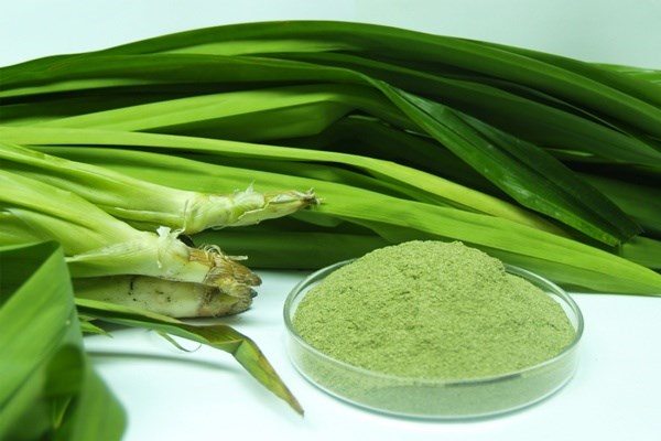 L&aacute; dứa cho m&agrave;u xanh của b&aacute;nh