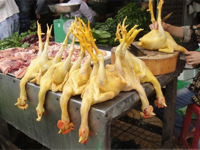 để ph&acirc;n biệt đ&acirc;u l&agrave; g&agrave; v&agrave;ng tự nhi&ecirc;n v&agrave; đ&acirc;u l&agrave; g&agrave; v&agrave;ng do nhiễm chất v&agrave;ng &ocirc; th&igrave; kh&ocirc;ng thể d&ugrave;ng mắt thường