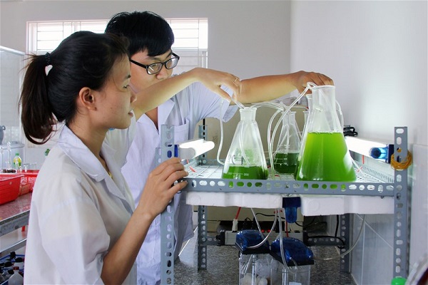 Cơ sở ph&aacute;p l&yacute; x&aacute;c định c&ocirc;ng việc độc hại, nặng nhọc