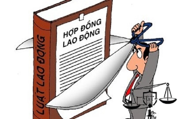 C&oacute; được chấm dứt HĐLĐ với 13Win18 cá cược thể thao nữ vừa nghỉ thai sản