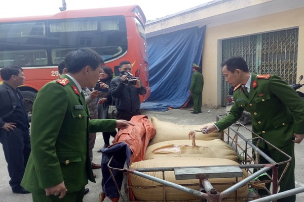 Phát hiện hơn 500kg nội tạng động vật bốc mùi hôi thối trên xe khách đi tiêu thụ