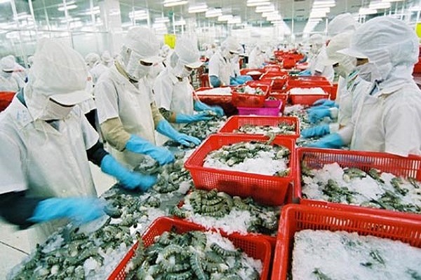 Australia kiểm tra chuỗi sản xuất t&ocirc;m xuất khẩu tại Việt Nam