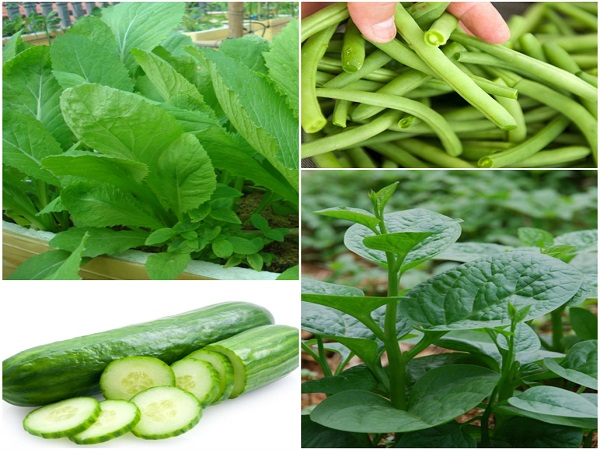 Những loại rau quả cần cẩn trọng kẻo ngộ độc khi ăn trong m&ugrave;a h&egrave;
