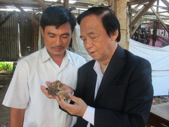 T&aacute;c dụng của nấm V&acirc;n chi