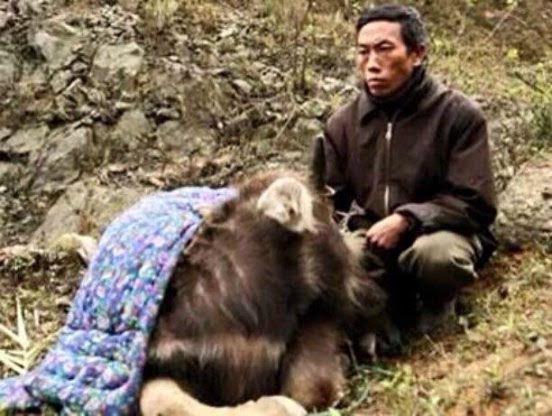 Người d&acirc;n c&ograve;n chịu nhiều thiệt hại nếu như đợt r&eacute;t kỷ lục c&ograve;n k&eacute;o d&agrave;i theo như dự b&aacute;o thời tiết trước đ&oacute;
