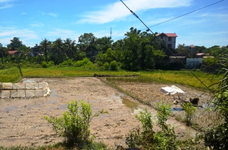 Theo th&ocirc;ng tin ban đầu, c&oacute; thể người n&ocirc;ng d&acirc;n Thanh H&oacute;a n&agrave;y vướng phải d&acirc;y điện bị r&ograve; rỉ, dẫn đến bị điện giật tử vong